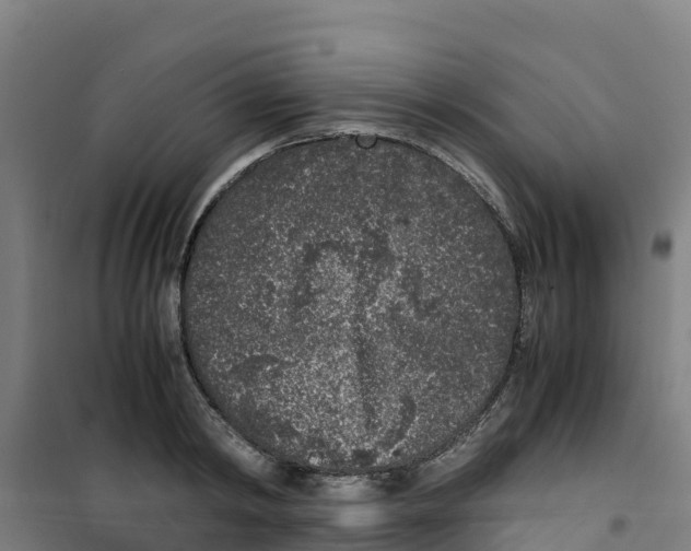 X0000100350798200807031812