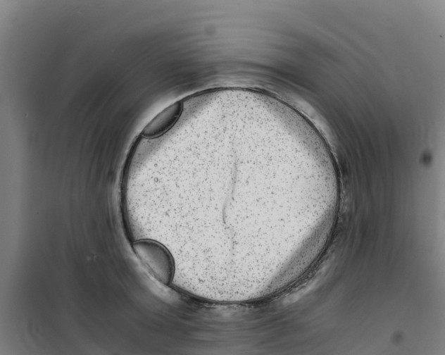 X0000100350803200807031812