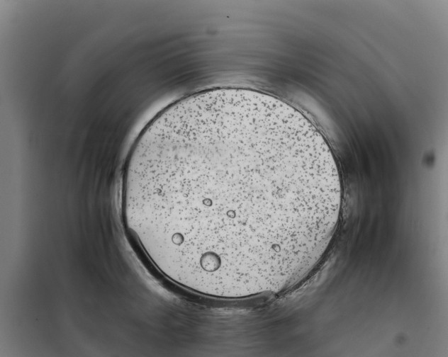 X0000100350804200807031812