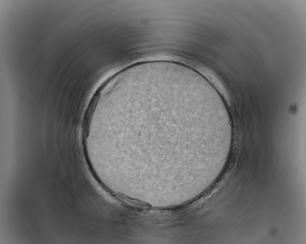 X0000100350805200807031812