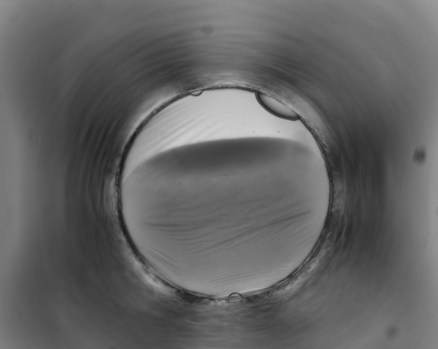 X0000100350806200807031812