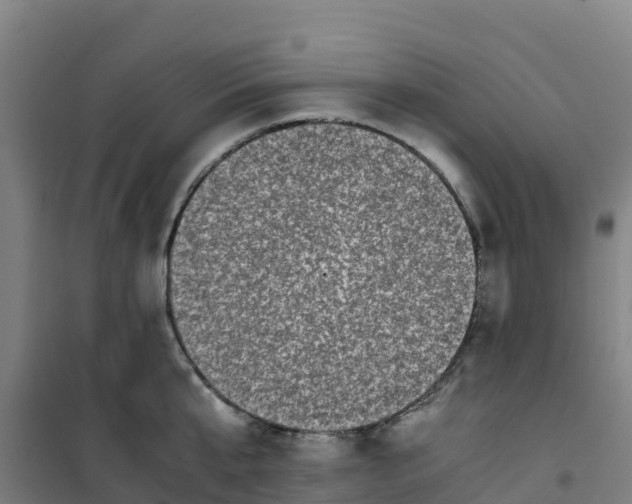 X0000100350807200807031812