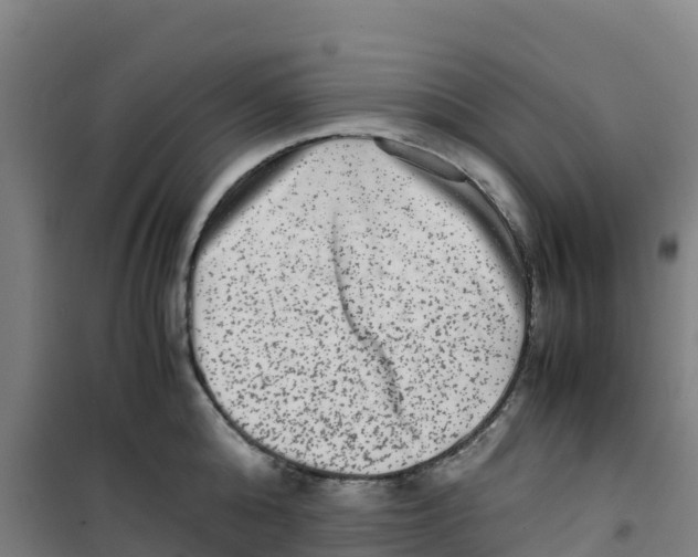 X0000100350808200807031812