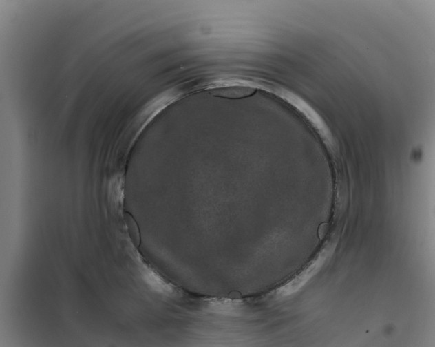 X0000100350809200807031812