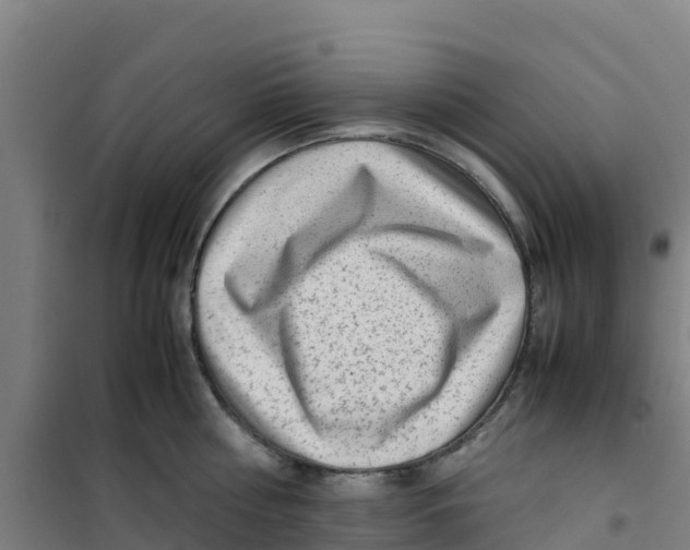 X0000100350810200807031812