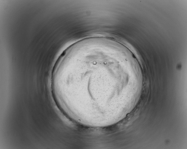 X0000100350811200807031812