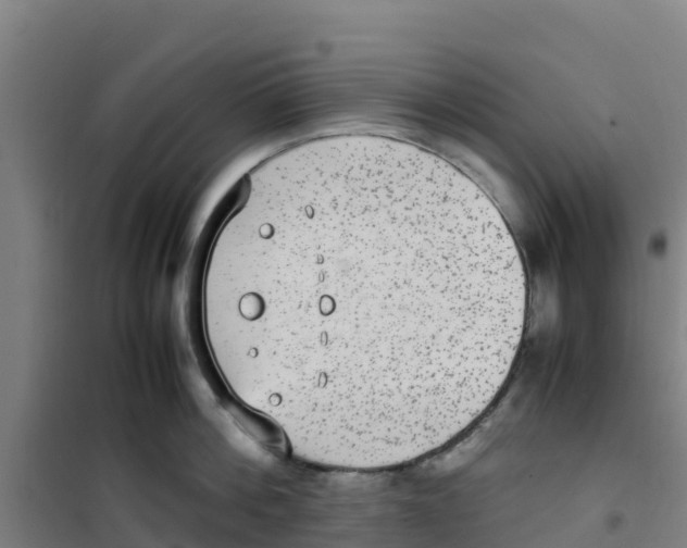 X0000100350812200807031812