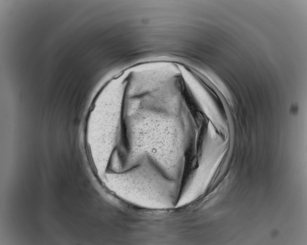 X0000100350813200807031812