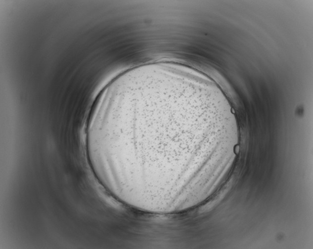 X0000100350814200807031812