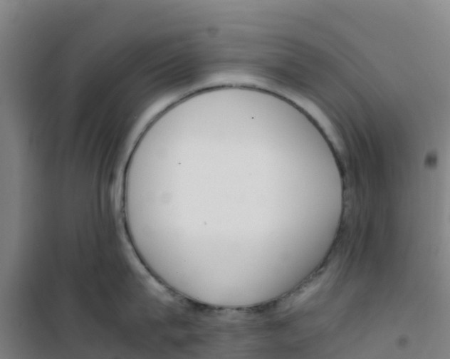 X0000100350815200807031812