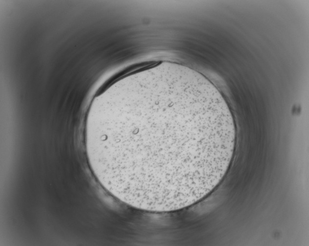 X0000100350816200807031812