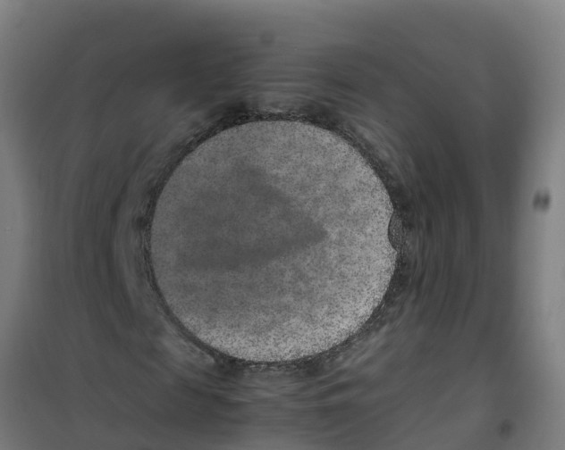 X0000100350817200807031811