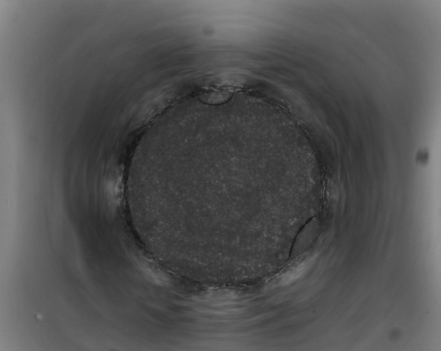 X0000100350818200807031811