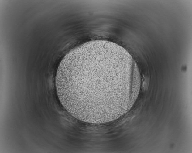 X0000100350819200807031811