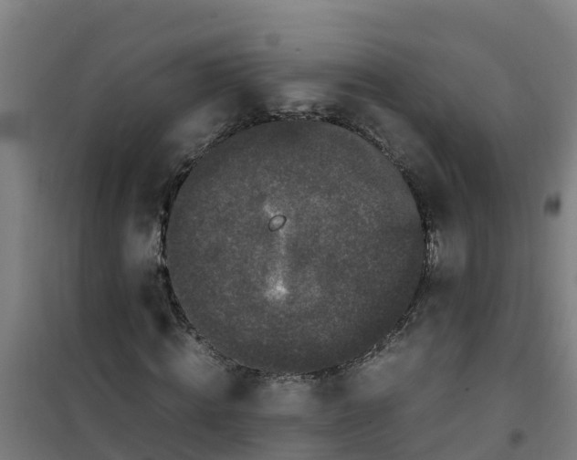 X0000100350820200807031811