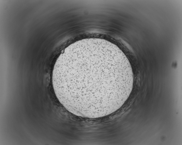 X0000100350821200807031811