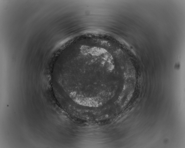 X0000100350822200807031811