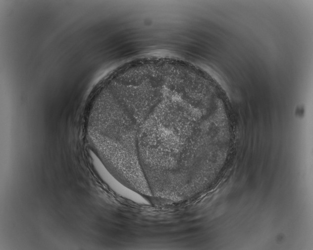 X0000100350823200807031812