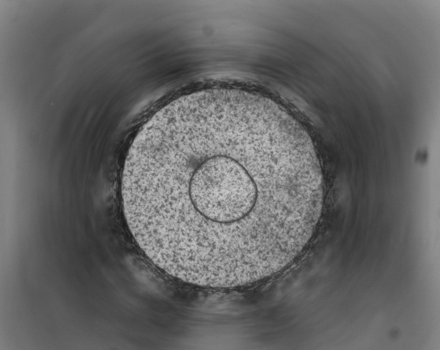 X0000100350824200807031812