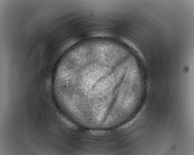 X0000100350825200807031812