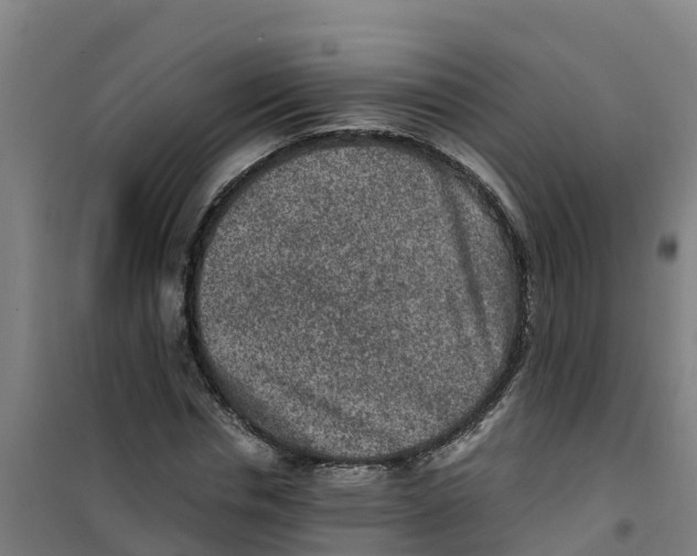 X0000100350826200807031812