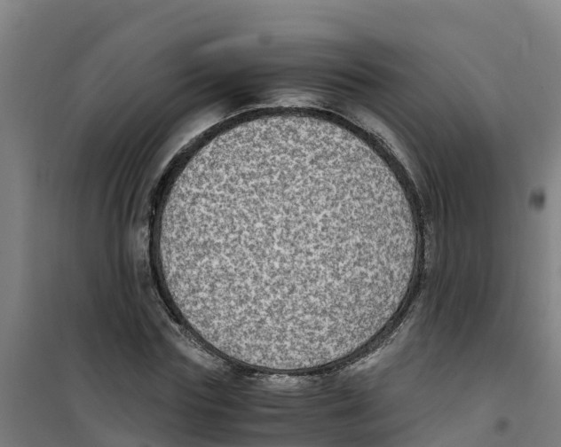 X0000100350827200807031812