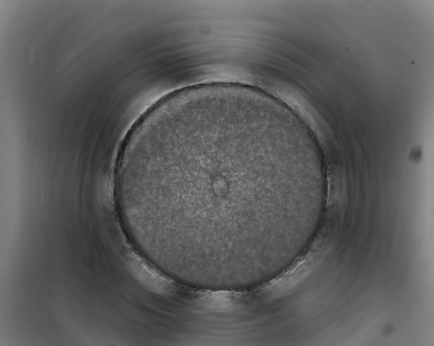 X0000100350828200807031812