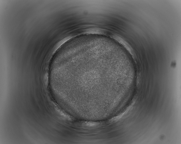 X0000100350829200807031812