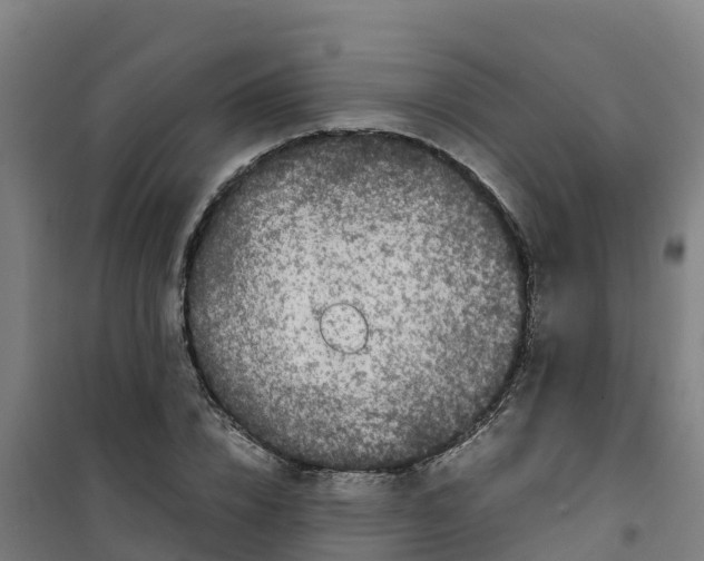 X0000100350832200807031812