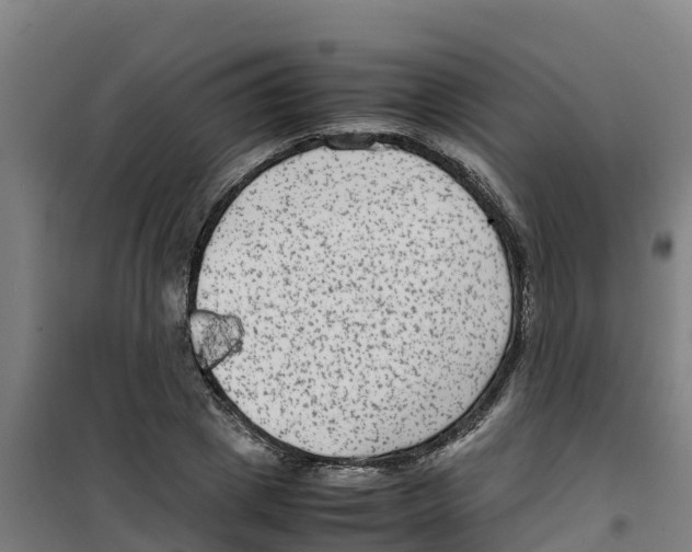 X0000100350833200807031812