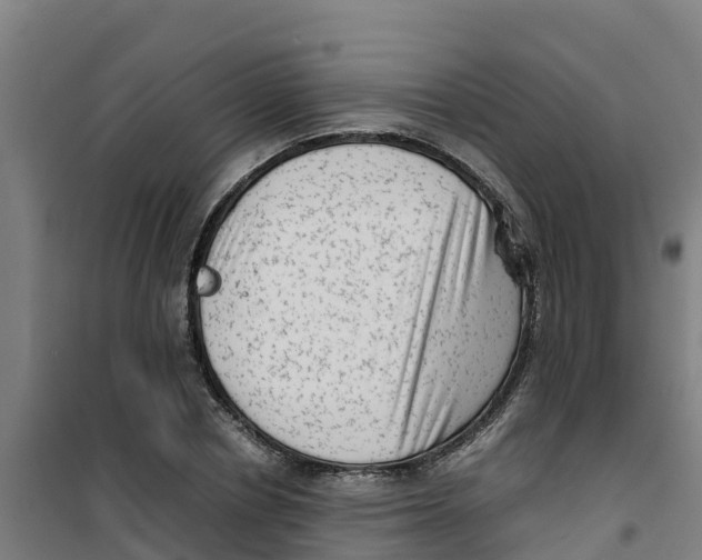 X0000100350834200807031812