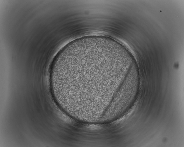 X0000100350835200807031812