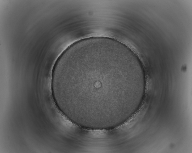 X0000100350836200807031812