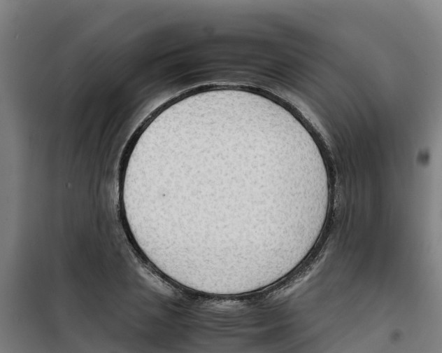 X0000100350837200807031812