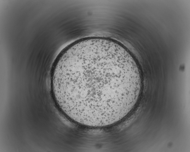 X0000100350838200807031812