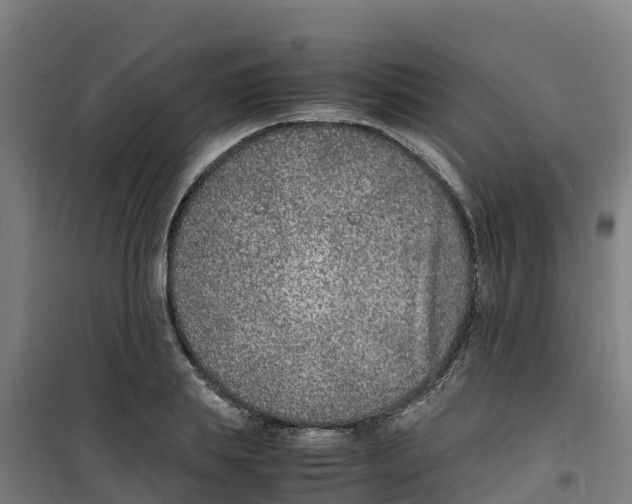 X0000100350839200807031812