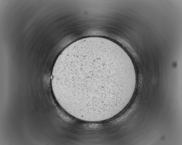 X0000100350841200807031812