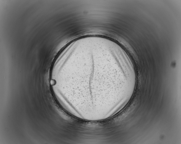 X0000100350842200807031812