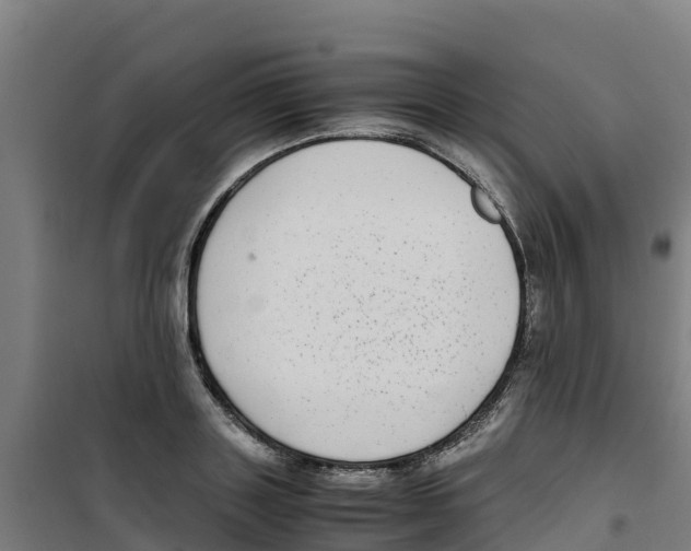 X0000100350843200807031812