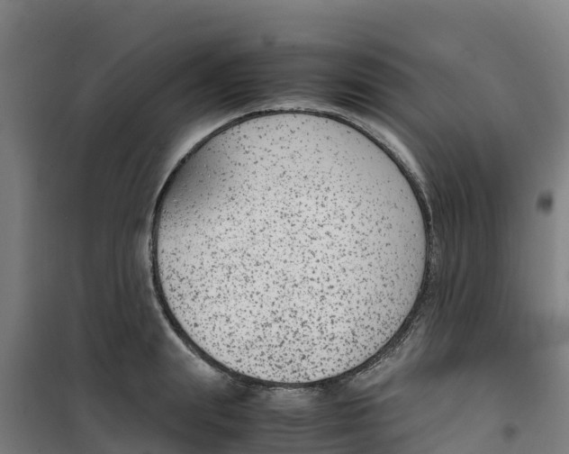 X0000100350847200807031812