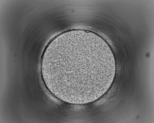 X0000100350848200807031812