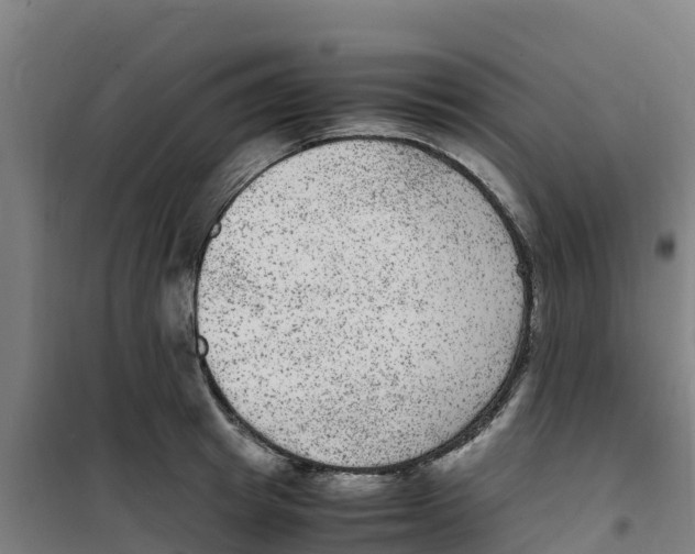 X0000100350849200807031812