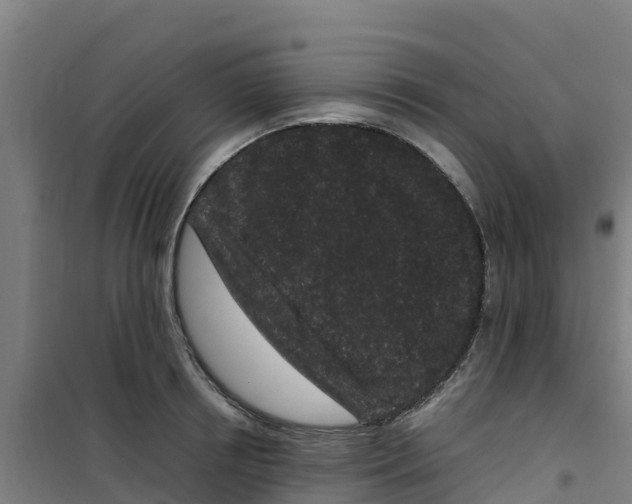 X0000100350850200807031812