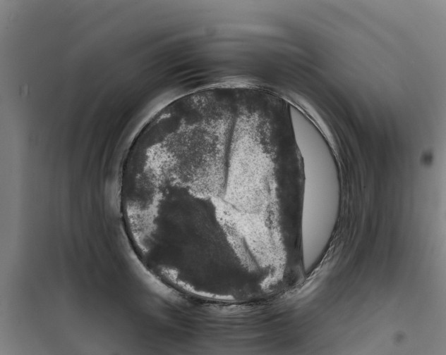 X0000100350851200807031812