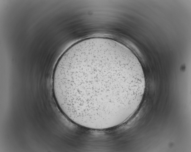 X0000100350852200807031812