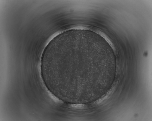 X0000100350853200807031812