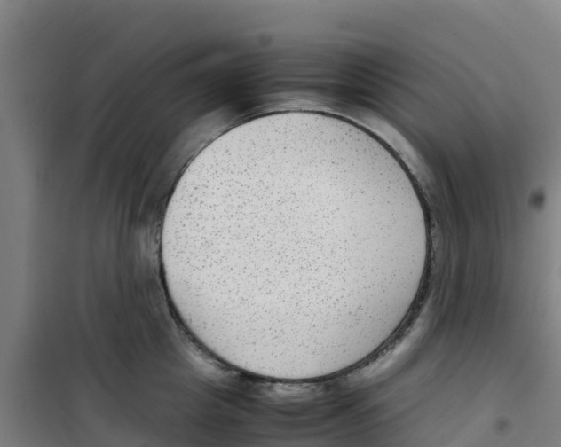 X0000100350857200807031812