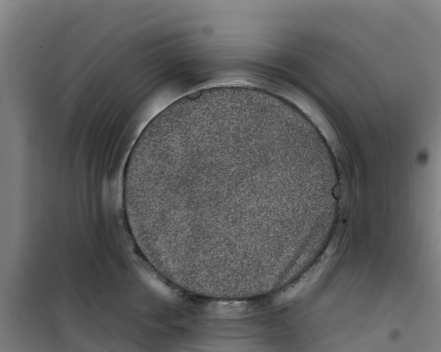 X0000100350858200807031812