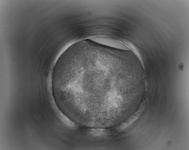 X0000100350859200807031812