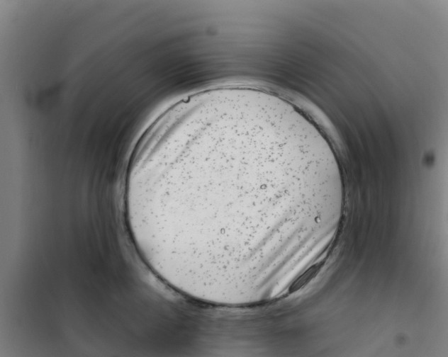 X0000100350860200807031812